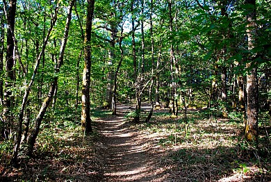 CIRCUIT ÉQUESTRE DU MOULIN NEUF