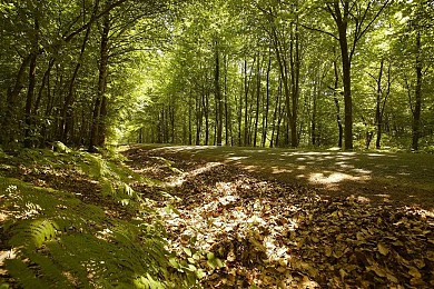 CIRCUIT VTT N°13 - SAINT-MICHEL-LE-CLOUCQ