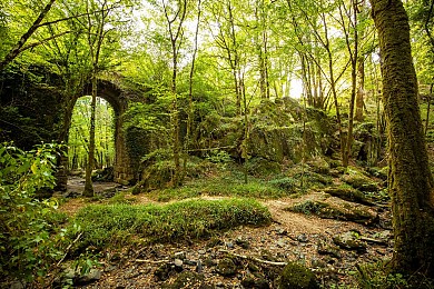 Circuit pédestre Autour de Mervent