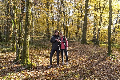 Circuit pédestre du Petit Maillezais