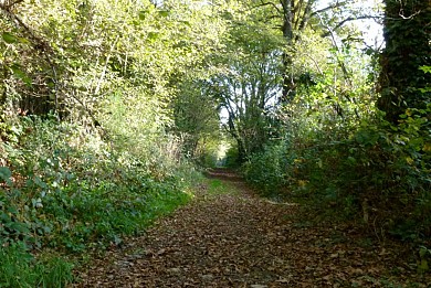 Circuit pédestre Jean Dô Bois