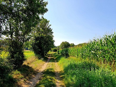 Circuit pédestre Au fil de la Vendée