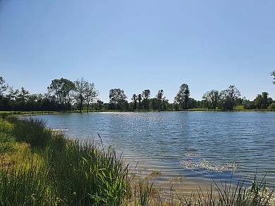 Circuit pédestre Les Étangs