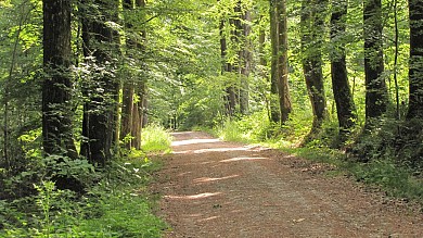 Tracé pédestre La Porte du Bocage