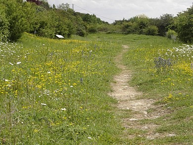 Sentier pédestre Les Falaises
