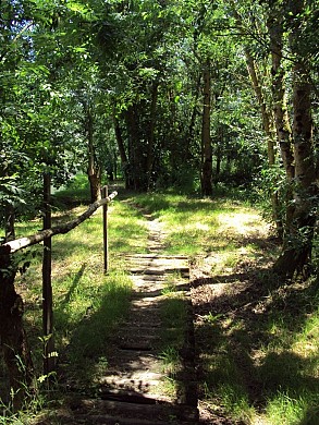 Sentier pédestre Le Bois des Laves