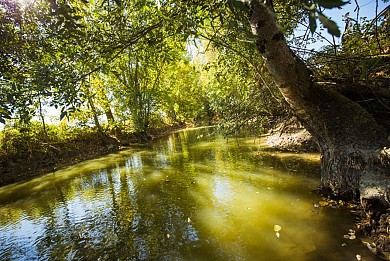 Sentier pédestre Autour de la Douve