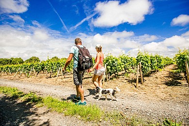 A LA DÉCOUVERTE DE BREM SUR MER À PIED