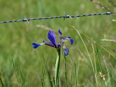 Sentier pédestre Le Bois Gilaud