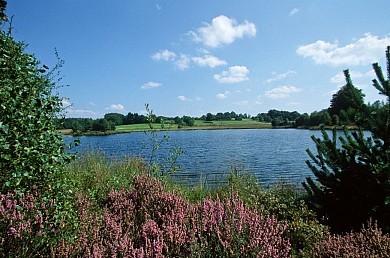 Circuit cyclo sportif au Coeur de Millevaches