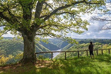 Cyclo - Circuit sportif Plateau bortois - 63 km