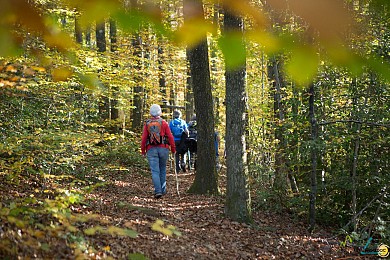 Sommet de Rouayras - variante 2