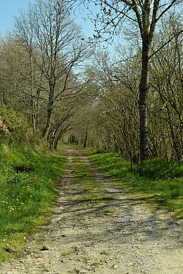La presqu'île par la crête