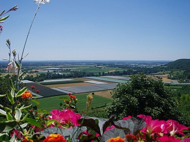 De Moissac à Lafrançaise