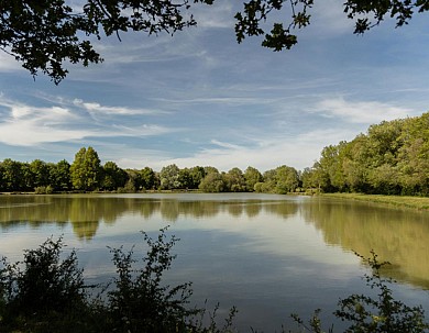 Sentier du Bois du Rolin - Saint-Fulgent