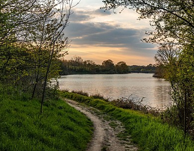 Sentier de la Bultière - Chavagnes-en-Paillers