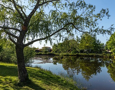 Sentier des Deux Vallées - Chauché