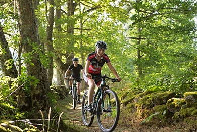 Circuit VTT N°1 VTT FFC HAUTES TERRES D OC