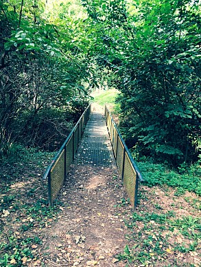 DU TARN AU MOULIN - MIREPOIX/TARN
