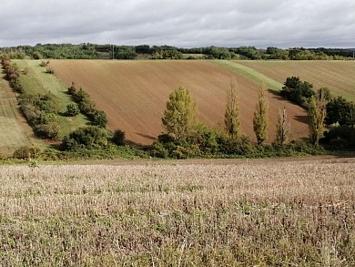 DE VALLONS EN COTEAUX - BONDIGOUX