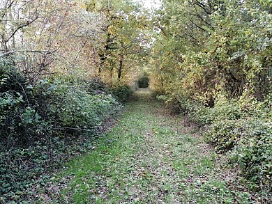 LES BALCONS DE LAYRAC - LAYRAC SUR TARN