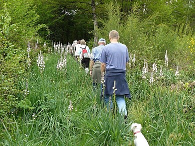 Circuit pédestre Le Chemin de la Mine