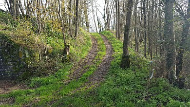 CIRCUIT PÉDESTRE LE SENTIER DU BARABIN