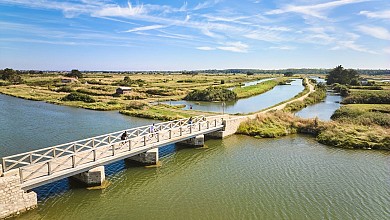 Les Sauniers - Olonne sur Mer/L'Ile d'Olonne
