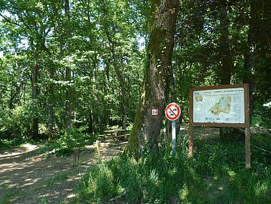 Le bois de Sauvagnon