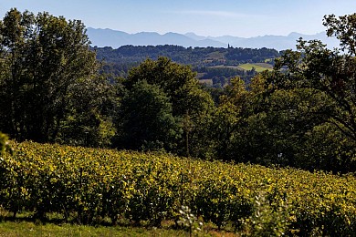 Cabidos : les Manoirs