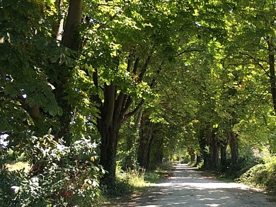 Boucle du Greseau et de Baron