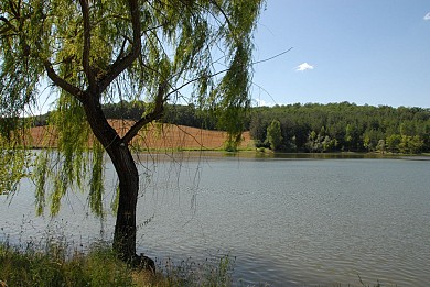 Lomagne PR8 - Circuit de la Chêneraie