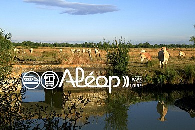 Luçon : Les Charrières, en 1 jour