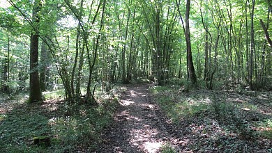 Cassagnabère-Tournas "Sentier de Mauboussin"