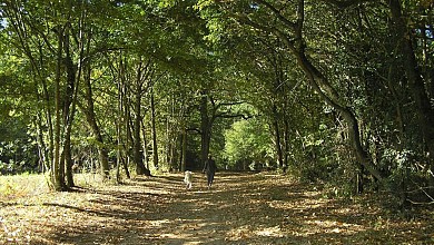 Ponlat-Taillebourg "Source Saint-Jean"