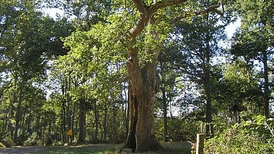 Lodes "Sentier du canal"