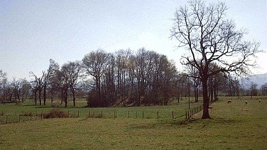 Bordes de Rivière "Bordes Serre"
