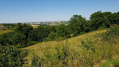 Agassac "Sur les traces de l'histoire"