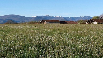 Les Toureilles "Pile funéraire de Clergue"