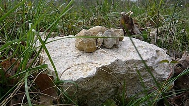 Aurignac "Sentier des Fossiles"