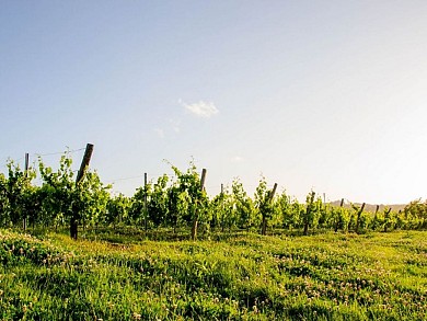 Boucle locale du Cheval Blanc