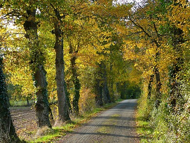 Circuit route du Pays Rignacois