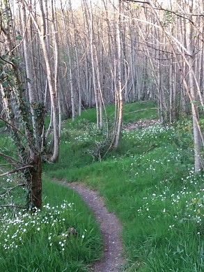 CIRCUIT PÉDESTRE LE SENTIER DES ÉTANGS