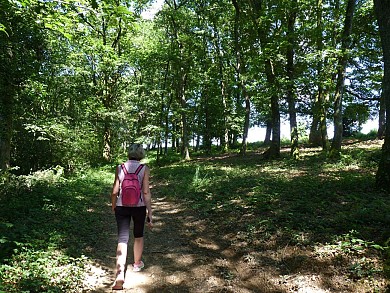 Le bois de Sauvagnon à VTT