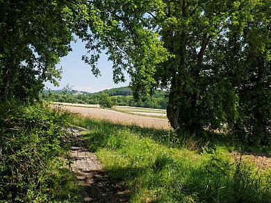 Montardon : les Marlères