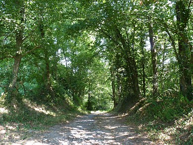 Astis : les Barthouils