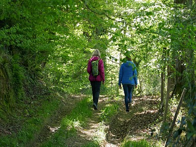 Claracq : promenade du Beüs au château