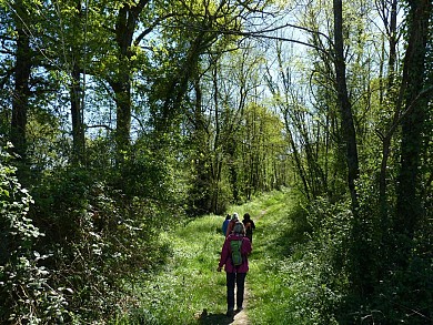 Lalonquette : les coteaux du Gabas