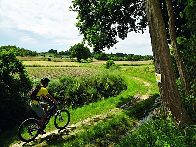 Montardon : les Marlères à VTT