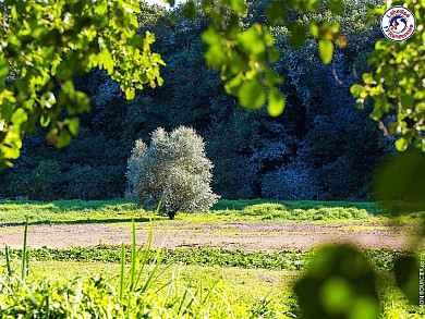 Sentier des Côteaux du Lac